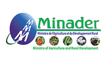Logo-format-Copy-Copy-3.png