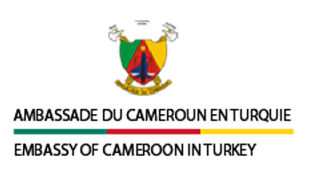 Logo format - ABCIM